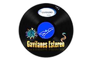 Gavilanes Stereo - Gama