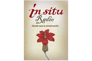 In Situ Radio - Bogotá
