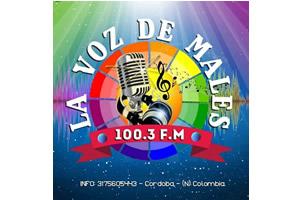 La Voz de Males 100.3 FM - Córdoba