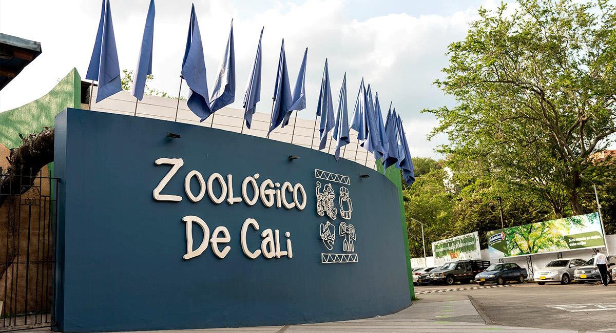 Zoológico de Cali reconocido como uno de los mejores en Latinoamérica. Foto: Shutterstock