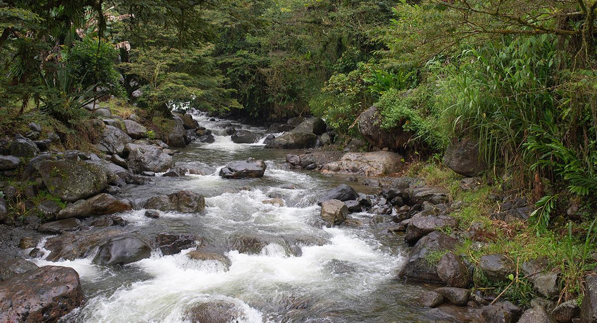 Lugar ideal para disfrutar del campo y la naturaleza - Río Pance - Cali. Foto: Shutterstock