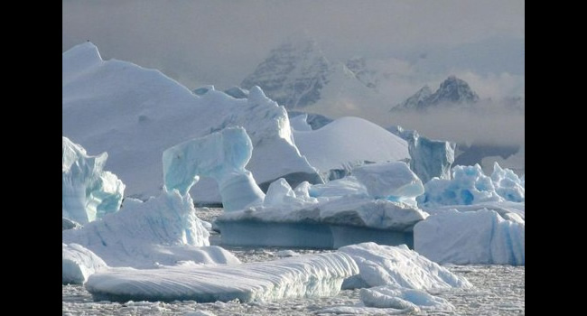 El deshielo en la Península Antártica es el más alto en el último milenio. Foto: EFE