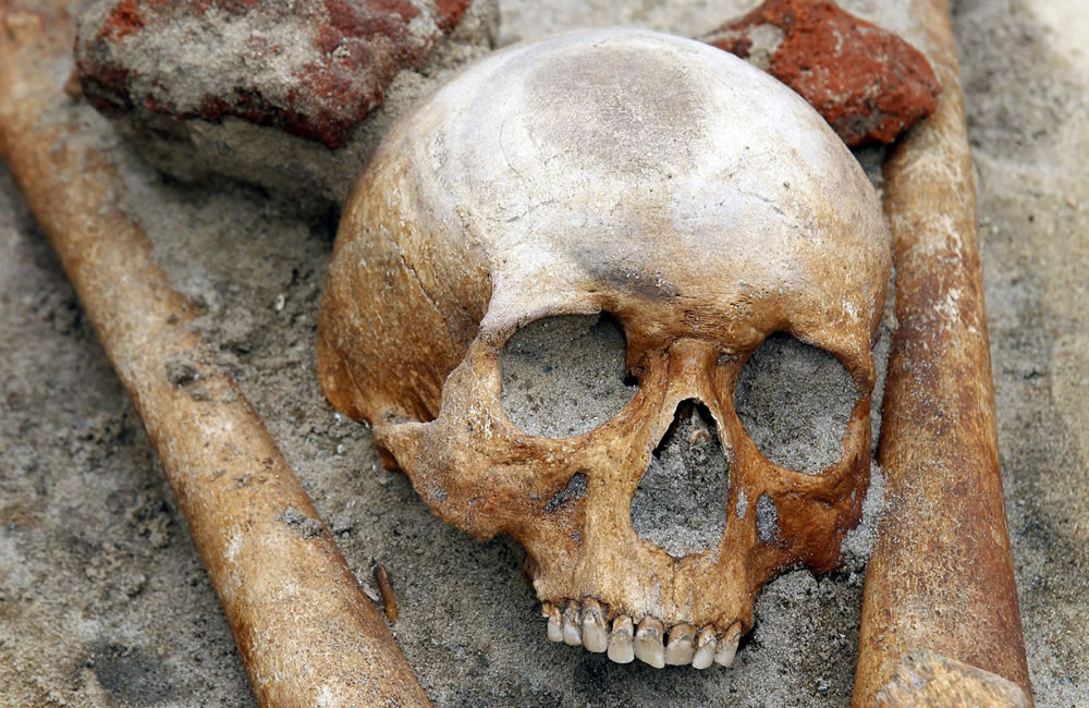 Vista de un esqueleto con el cráneo enterrado entre las piernas en un grupo de tumbas descubierto durante las obras de construcción de un carretera en Gliwice, Polonia. Foto: EFE