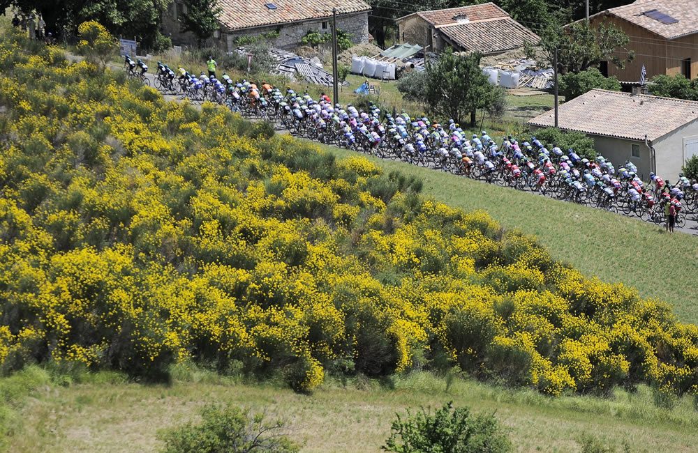 El pelotón rueda durante la décimo sexta etapa del Tour de Francia, que se disputa entre las localidades de Vaison-la-Romaine, en las faldas del Mont Ventoux, y Gap, al pie de los Alpes. Foto: EFE