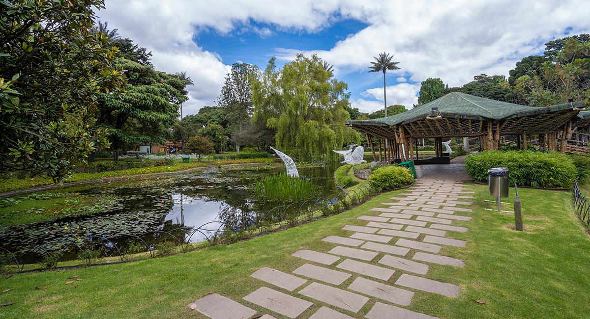 El Jardín Botánico es un mundo pleno de naturaleza y color. Foto: Shutterstock