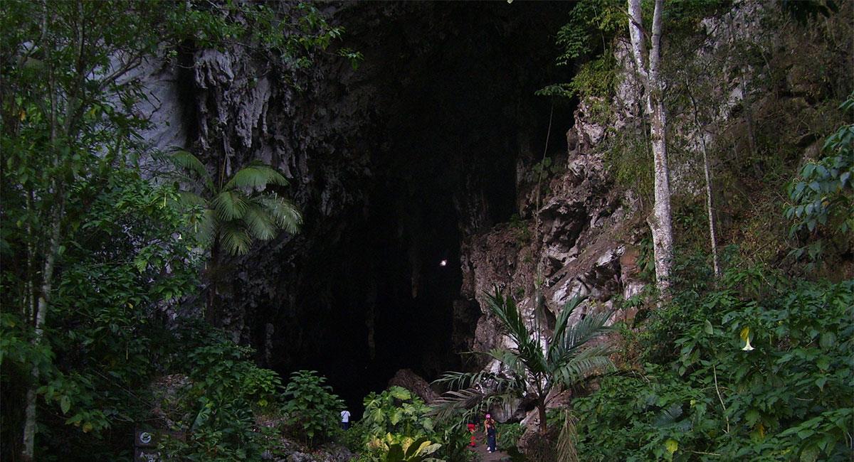 Parque Nacional Natural Cueva de los Guácharos. Foto: mary laura - flickr