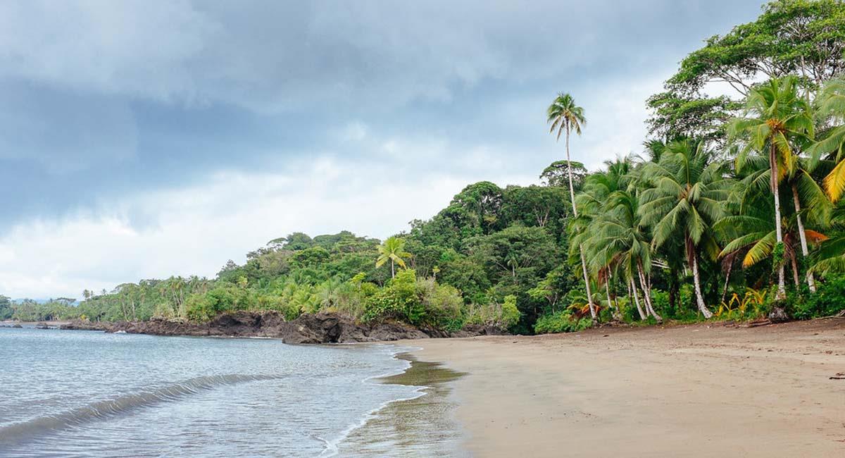 Playa de Guachalito, en Nuquí, Chocó. Foto: Quimbaya / Flickr
