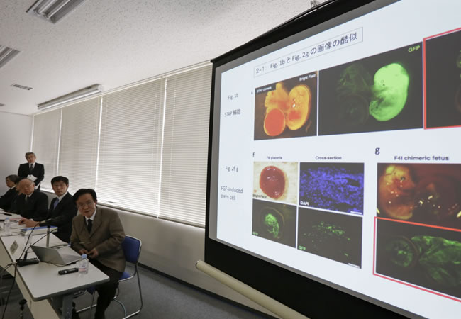 Shunsuke Ishi, miembro del comité de investigación del Instituto japonés de investigación Riken. Foto: EFE