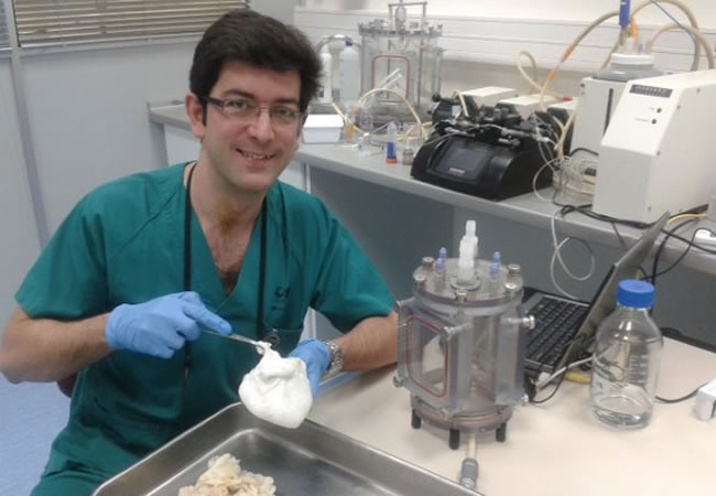El investigador Ricardo Sanz, en el Laboratorio de Órganos Bioartificiales del Hospital Gregorio Marañón de Madrid. Foto: EFE