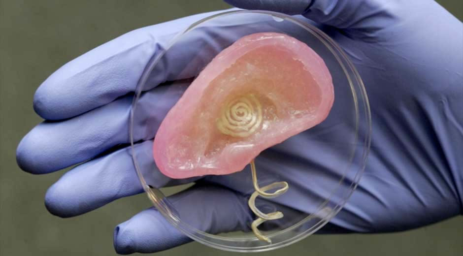 Órganos en 3D y prótesis a medida, hitos en terapia celular. Foto: EFE