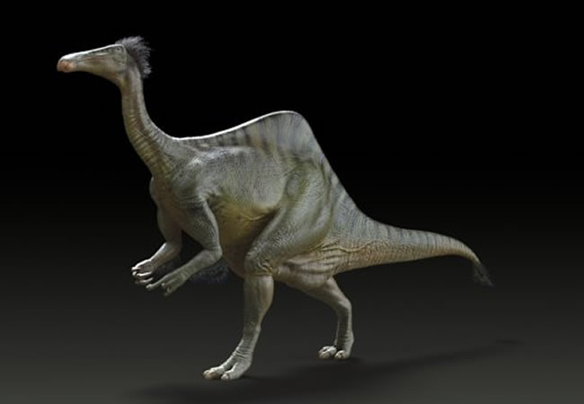 Reconstrucción de un dinosaurio Deinocheirus mirificus. Foto: EFE