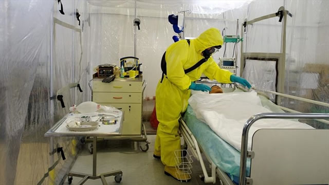 Virus de ébola. Foto: EFE