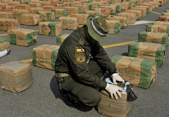 Incautan más de 12 toneladas de marihuana. Foto: EFE