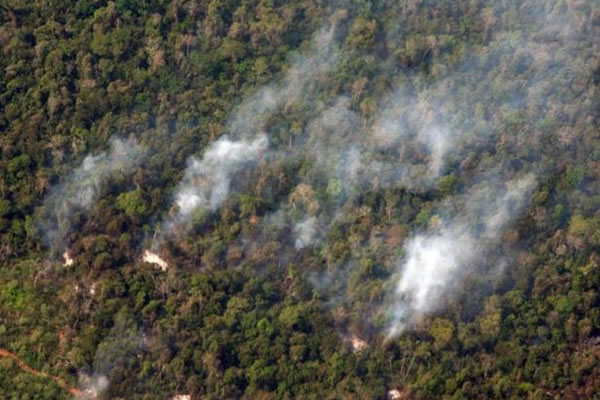 Se registra 71 incendios forestales en en lo que se lleva del año. Foto: EFE