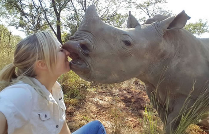 Rinoceronte muestra afecto a su cuidadora. Foto: Instagram