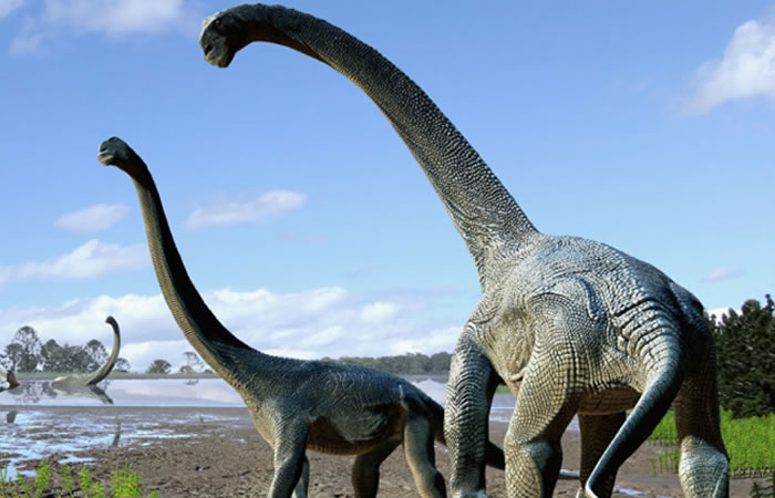 Descubren nueva especie de dinosaurio. Foto: EFE