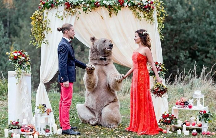 Un enorme oso es el testigo de una boda en Rusia. Foto: Facebook