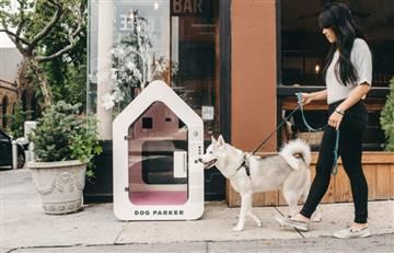 Dog Parker: La casa inteligente para perros 