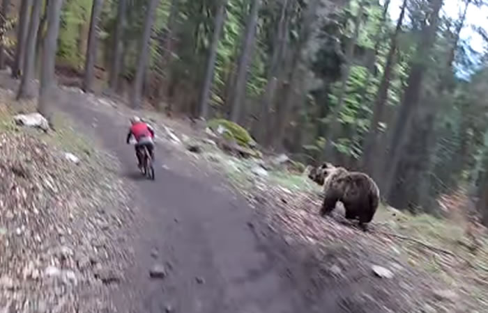 Ciclista es sorprendido por un oso. Foto: Youtube