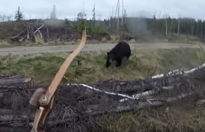 Cazador es atacado por un osos negro. Foto: Youtube
