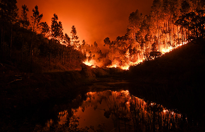 Incendio en Portugal. Foto: AFP