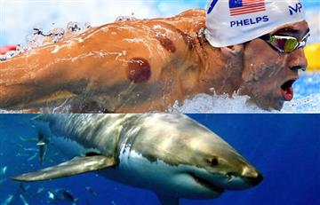 Michael Phelps cedió el trono como 'rey del agua' al tiburón blanco