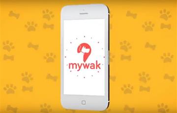 Mywak: App colombiana que busca ser el ‘Uber de los perros’