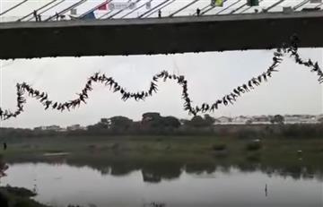 Video: 245 personas hicieron ‘Bungee Jumping’ al tiempo