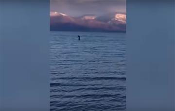 VIDEO: Hallan una extraña criatura idéntica al monstruo del lago Ness