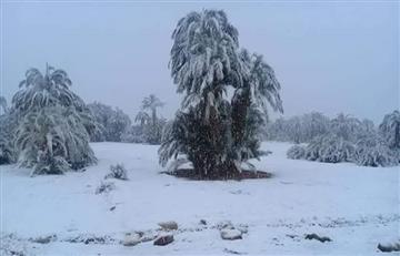 Desierto de Marruecos: Se presenta una inusual nevada