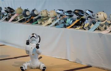 Japón: Realizan llamativo ritual para despedir perros robot