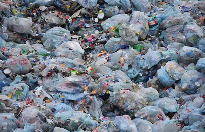 Tribunal chileno confirma prohibición de bolsas plásticas en el comercio. Foto: Pixabay