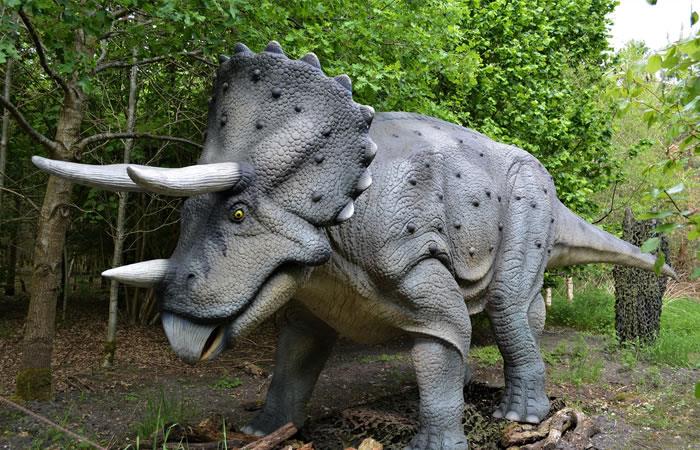 Replica del dinosaurio Triceratops del Parque Gondava. Foto: Pixabay