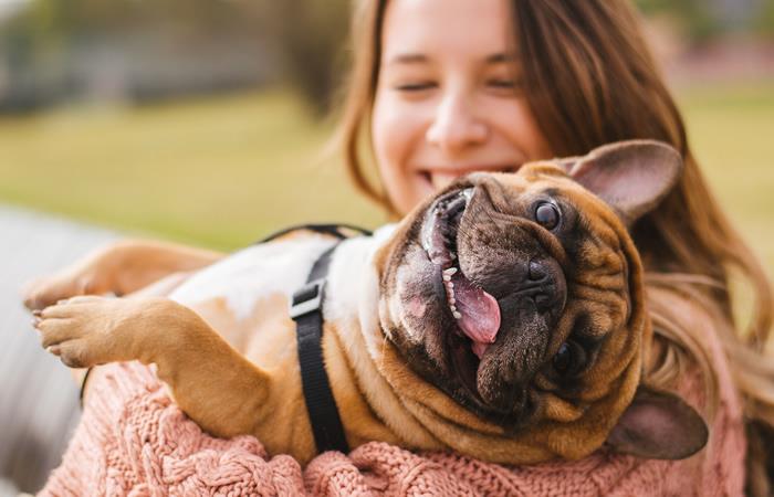 Dale a tu perrito el día más feliz de su vida en el festival campestre para DOG LOVERS. Foto: Shutterstock