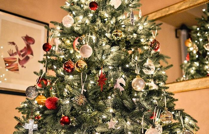 Cuál es el verdadero significado del arbolito de Navidad?