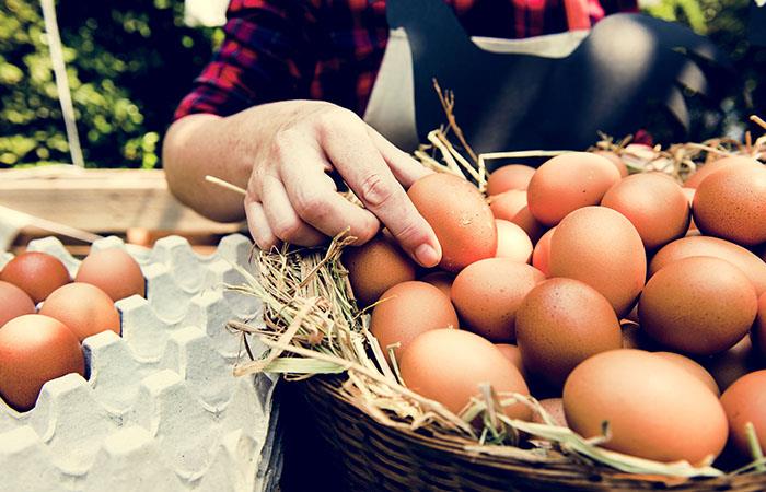 El huevo es uno de los productos esenciales de la canasta familiar colombiana. Foto: Shutterstock