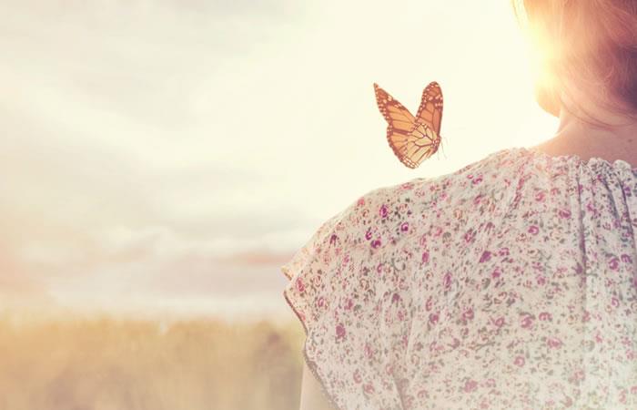 Soñar con Mariposas representa cambios. Foto: Shutterstock