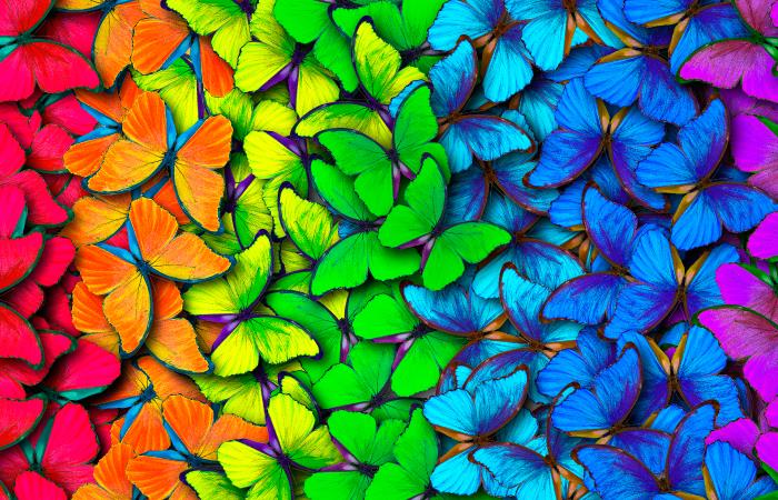 Los colores influyen en tu vida. Foto: Shutterstock