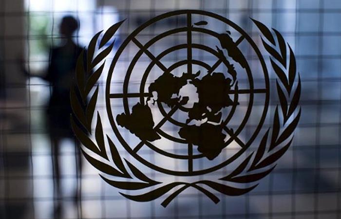 Logo de la Organización de las Naciones Unidas (ONU). Foto: Twitter