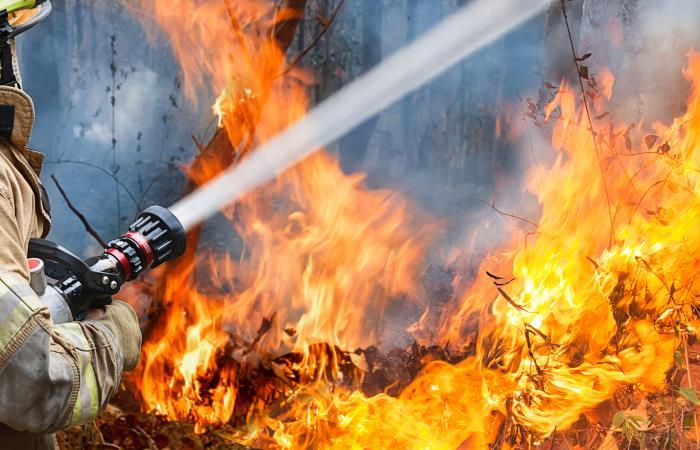 Bombero intenta apaciguar incendio en una zona boscosa de Latinoamérica. Foto: Shutterstock