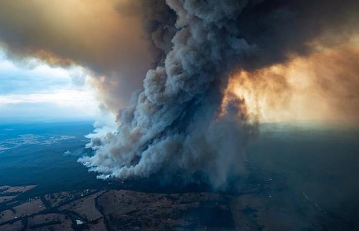 Los incendios han arrasado con más de 3,5 millones de hectáreas. Foto: EFE