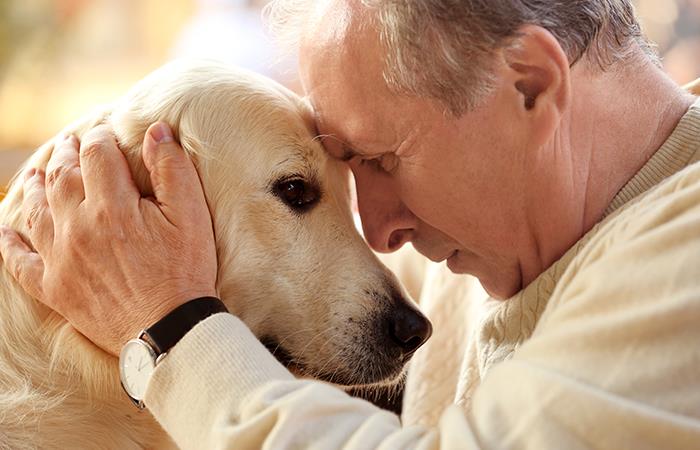Los beneficios de las mascotas para los adultos mayores