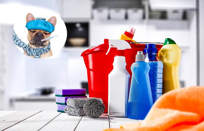 ¡Los productos de limpieza son nocivos para las mascotas!. Foto: Shutterstock