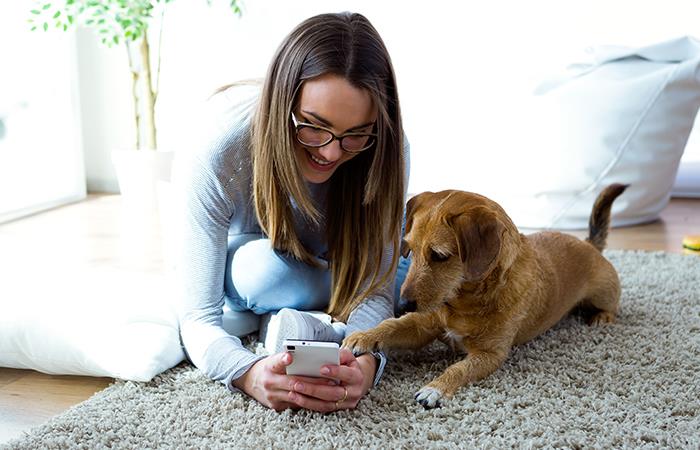 Todo un mundo tecnológico para tu mascota. Foto: Shutterstock
