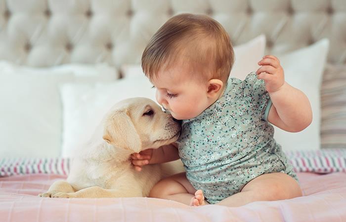 Mujer grabó una tierna escena entre su bebé y su perro. Foto: Shutterstock