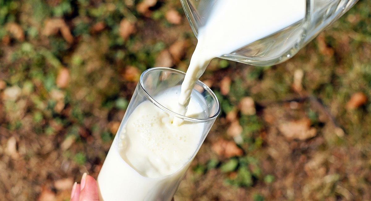 Esto son algunos mitos sobre los productos lácteos. Foto: Pixabay