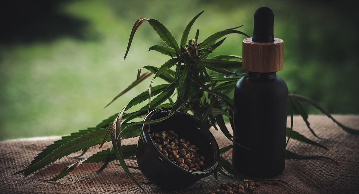 La cannabis medicinal es una de las alternativas con mayor aceptación en la medicia actual. Foto: Pixabay
