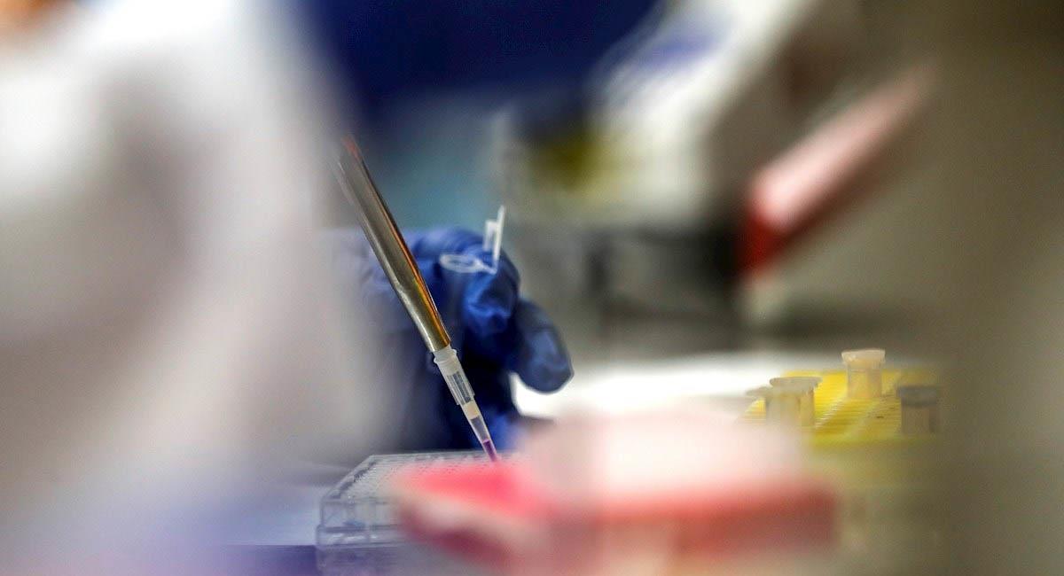 Laboratorios están en carrera para producir una vacuna que contrarreste al nuevo coronavirus. Foto: EFE