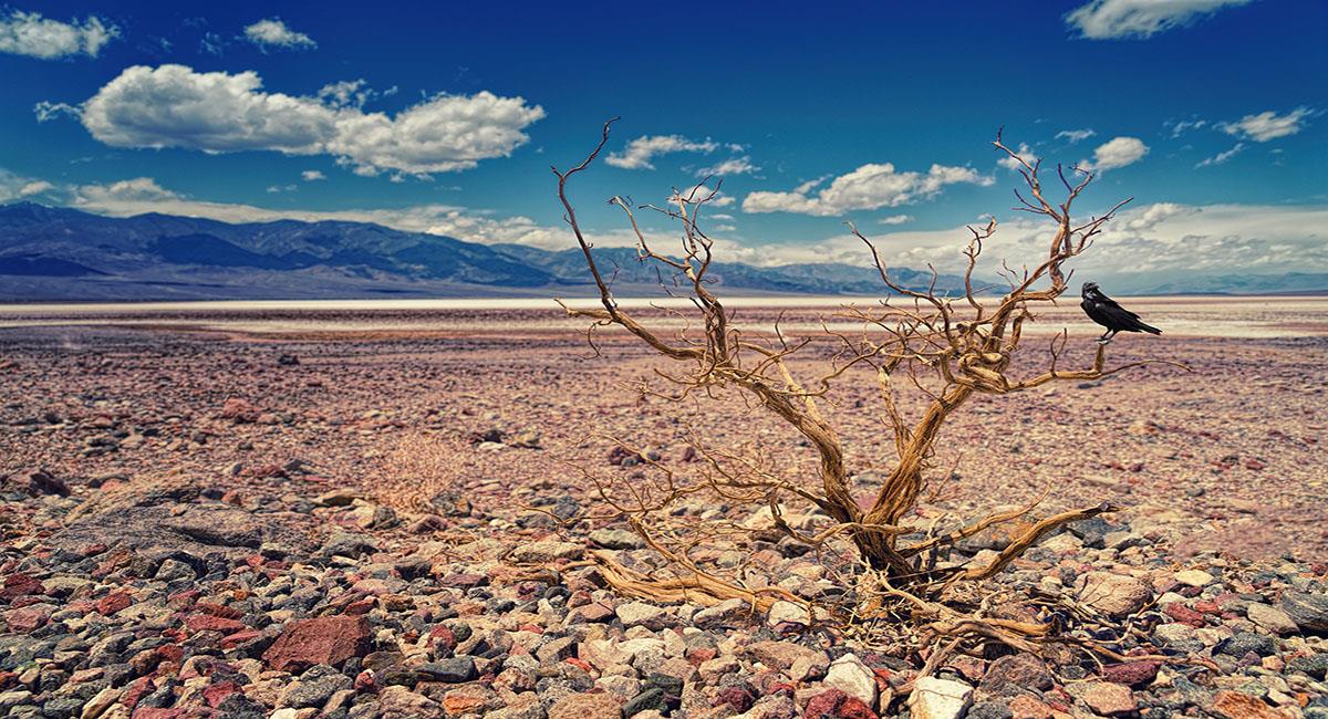 El Valle de la muerte en California es el lugar más caliente del mundo. Foto: Pixabay