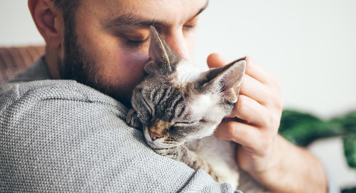 Una mascota puede ayudarte a alcanza tu bienestar emocional. Foto: Shutterstock